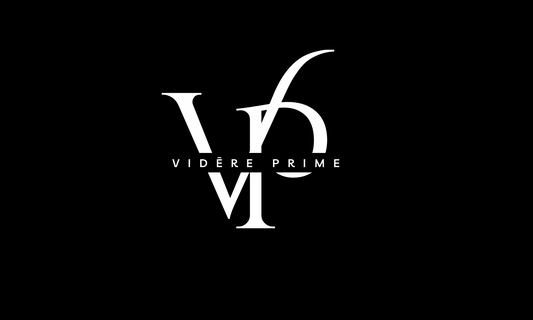 Videre Prime Master Plan Consulting